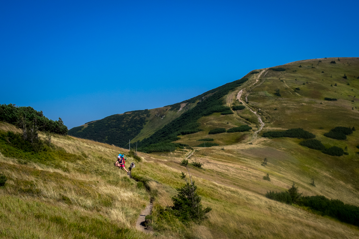 Z Hiadeľského sedla na útulňu Ďurková (Nízke Tatry)