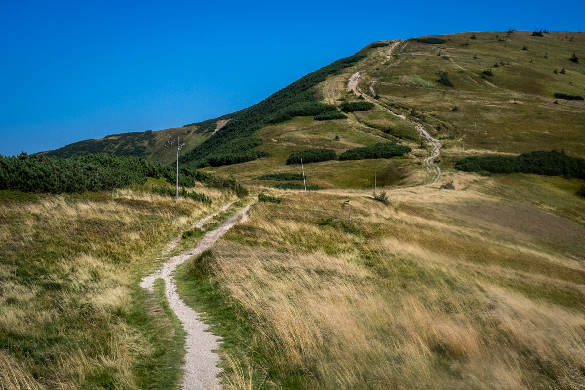 Z Hiadeľského sedla na útulňu Ďurková (Nízke Tatry)