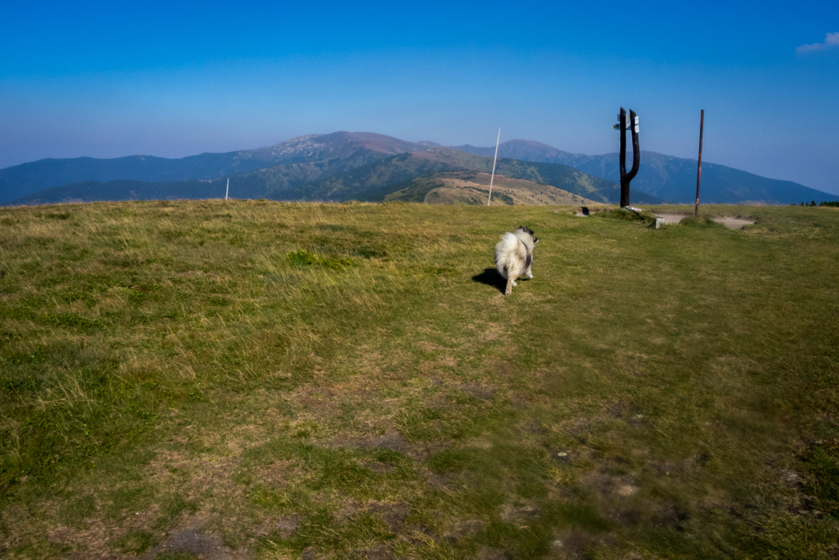 Z Hiadeľského sedla na útulňu Ďurková (Nízke Tatry)