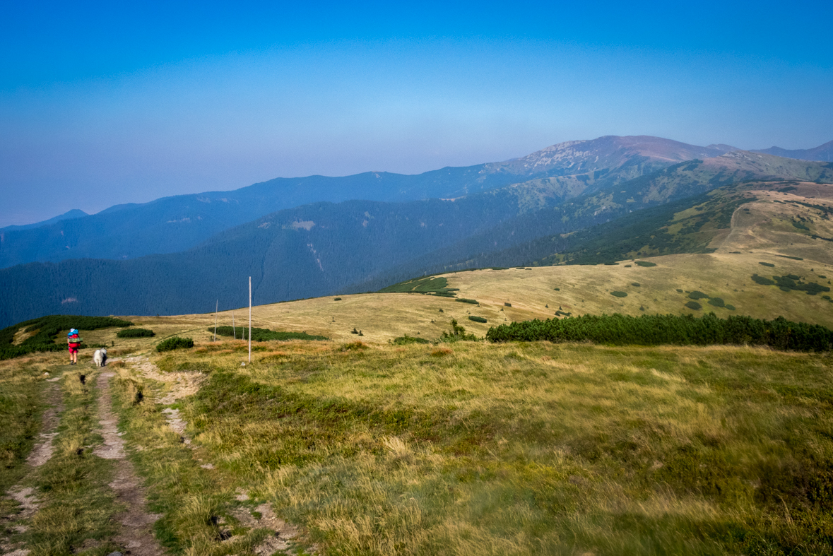 Z Hiadeľského sedla na útulňu Ďurková (Nízke Tatry)