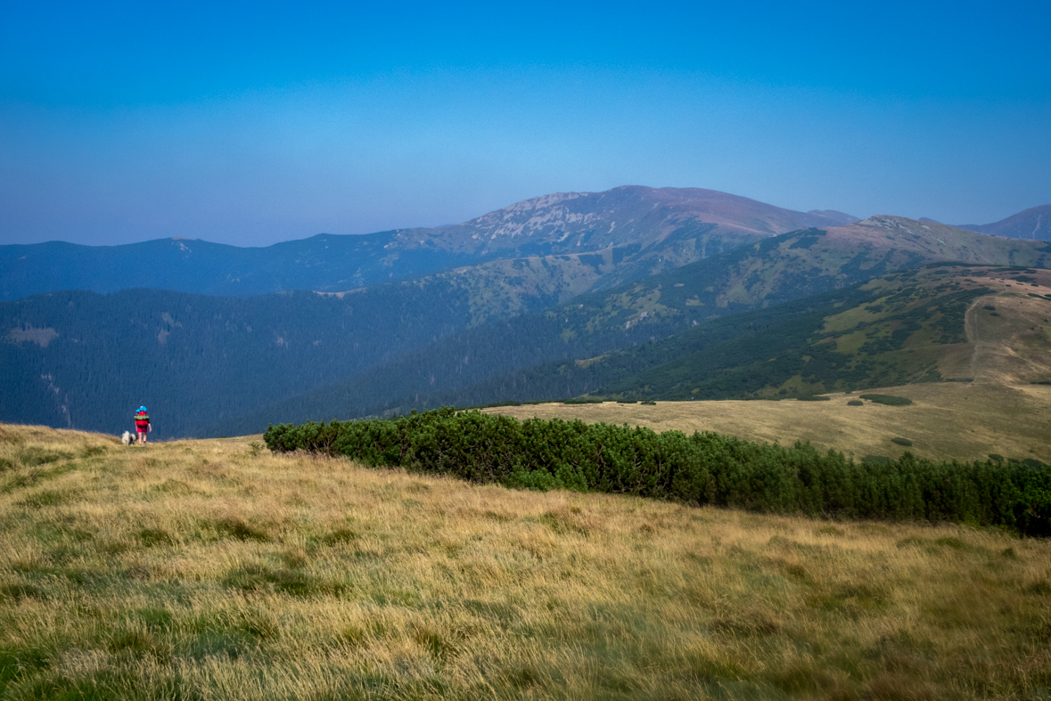 Z Hiadeľského sedla na útulňu Ďurková (Nízke Tatry)