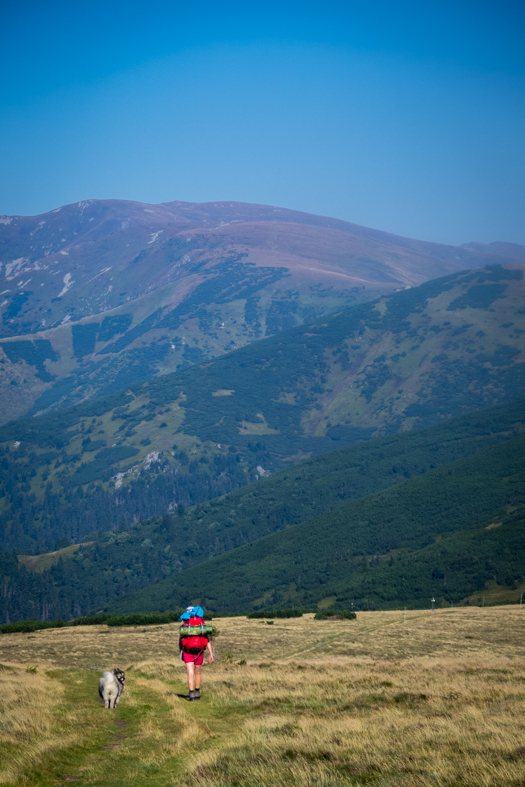 Z Hiadeľského sedla na útulňu Ďurková (Nízke Tatry)