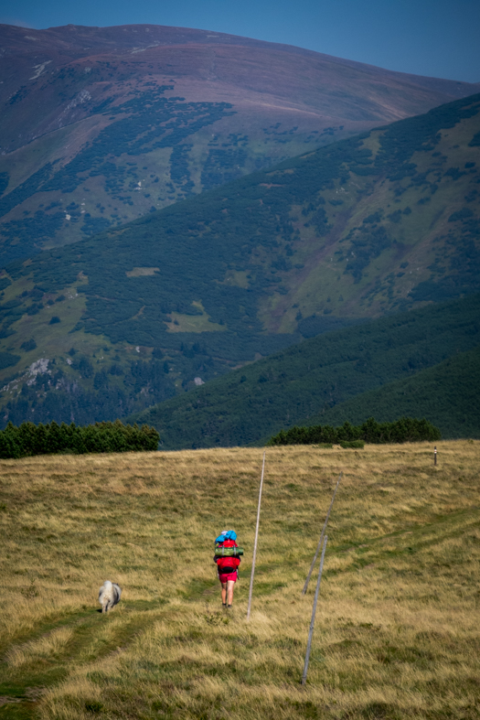 Z Hiadeľského sedla na útulňu Ďurková (Nízke Tatry)