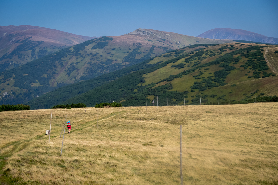 Z Hiadeľského sedla na útulňu Ďurková (Nízke Tatry)