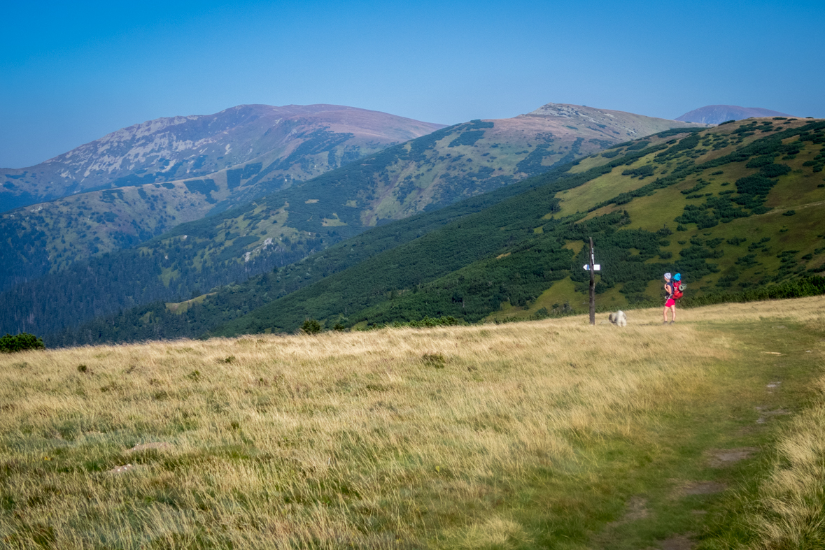 Z Hiadeľského sedla na útulňu Ďurková (Nízke Tatry)