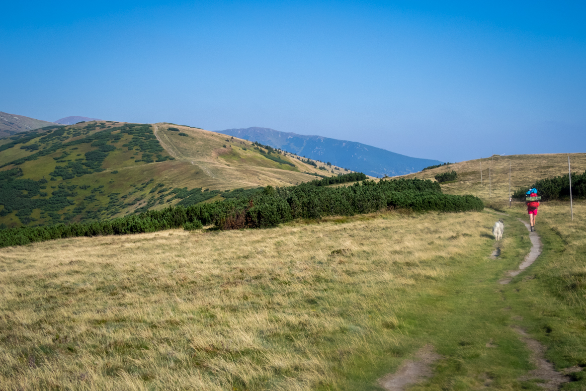 Z Hiadeľského sedla na útulňu Ďurková (Nízke Tatry)