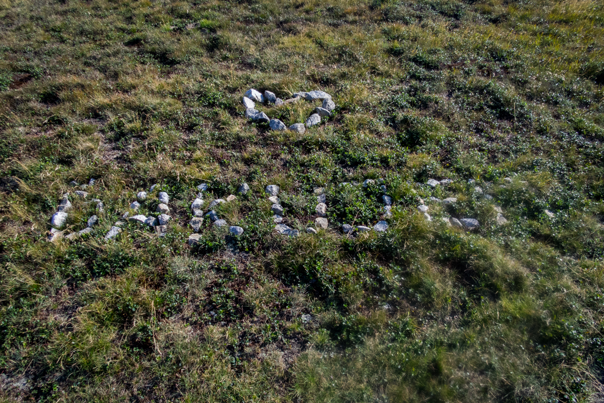 Z Hiadeľského sedla na útulňu Ďurková (Nízke Tatry)