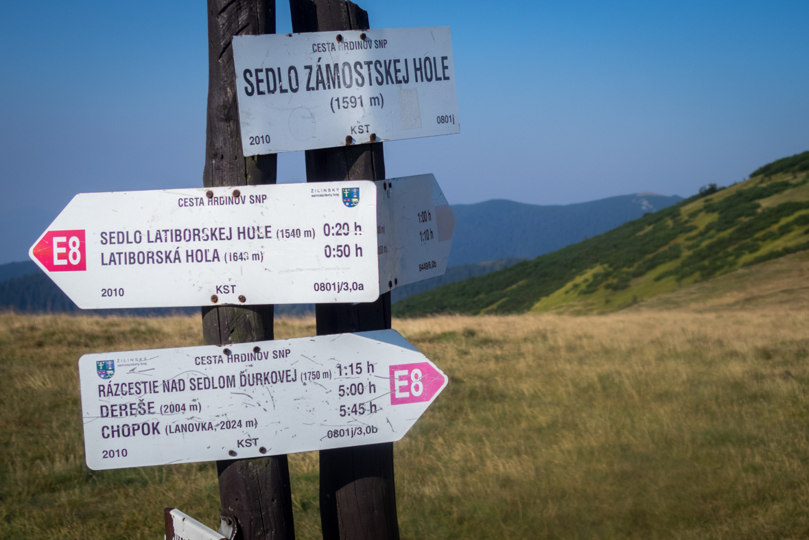 Z Hiadeľského sedla na útulňu Ďurková (Nízke Tatry)