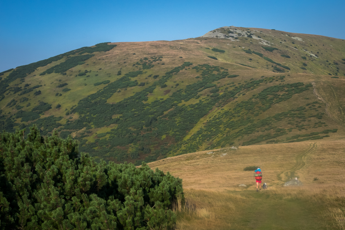 Z Hiadeľského sedla na útulňu Ďurková (Nízke Tatry)