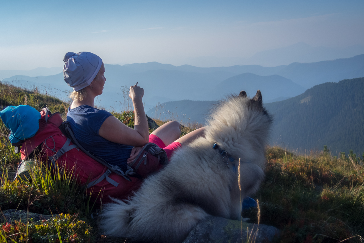 Z Hiadeľského sedla na útulňu Ďurková (Nízke Tatry)