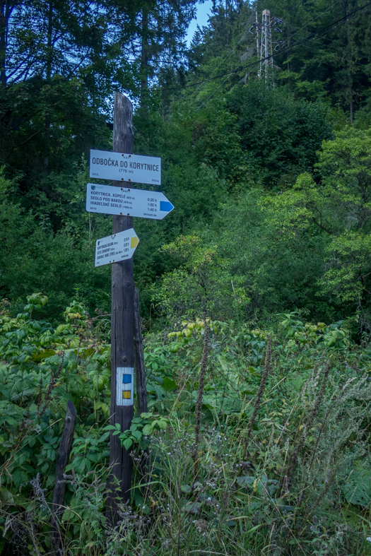 Z Korytnice na Hiadeľské sedlo (Nízke Tatry)