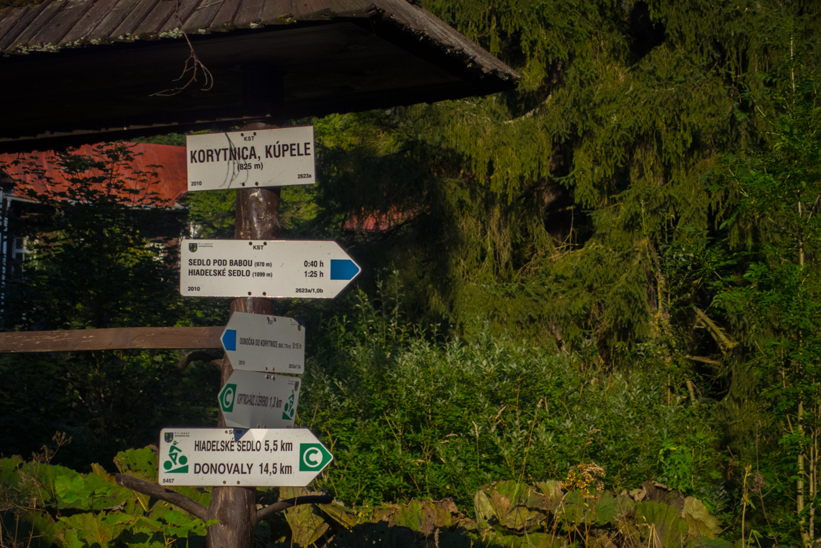 Z Korytnice na Hiadeľské sedlo (Nízke Tatry)