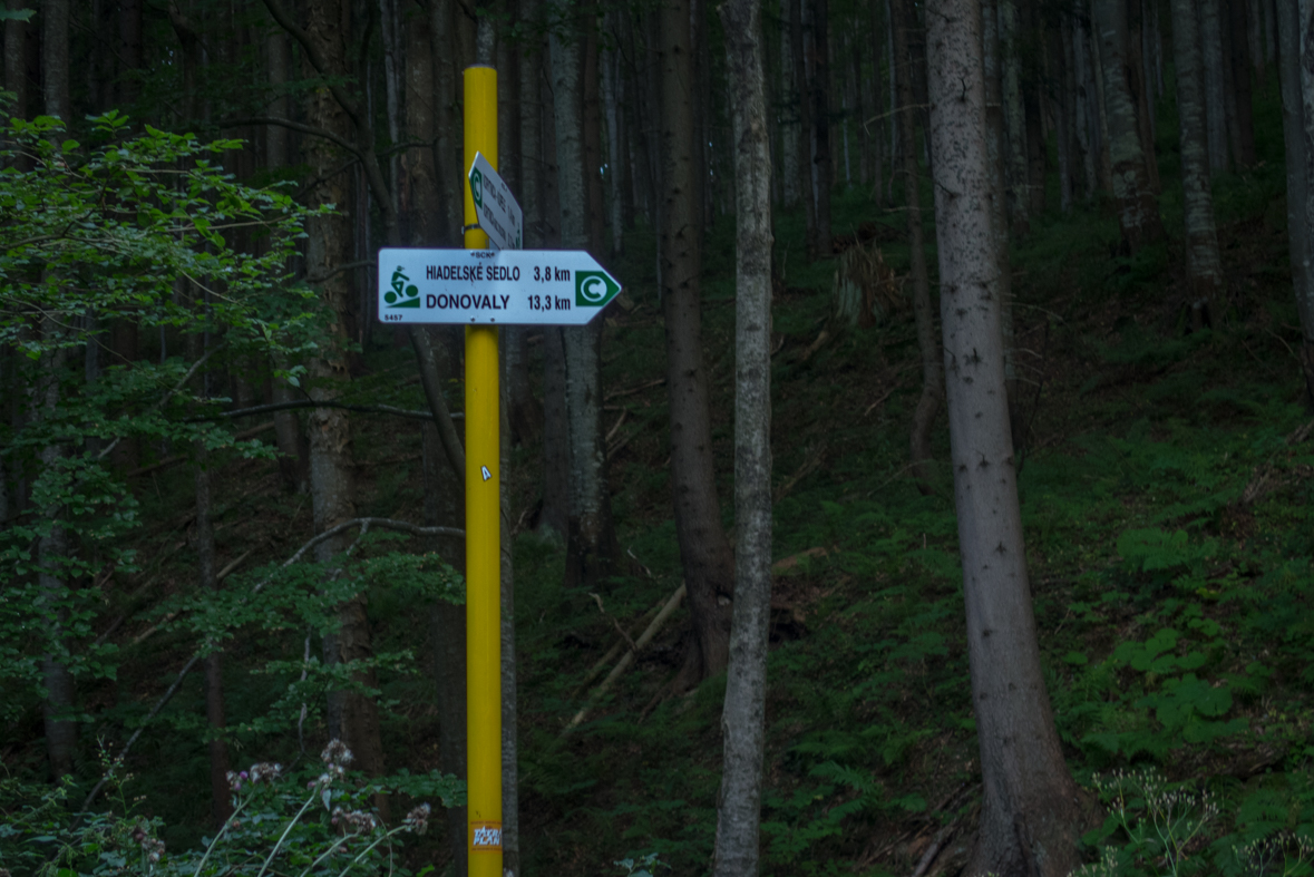 Z Korytnice na Hiadeľské sedlo (Nízke Tatry)