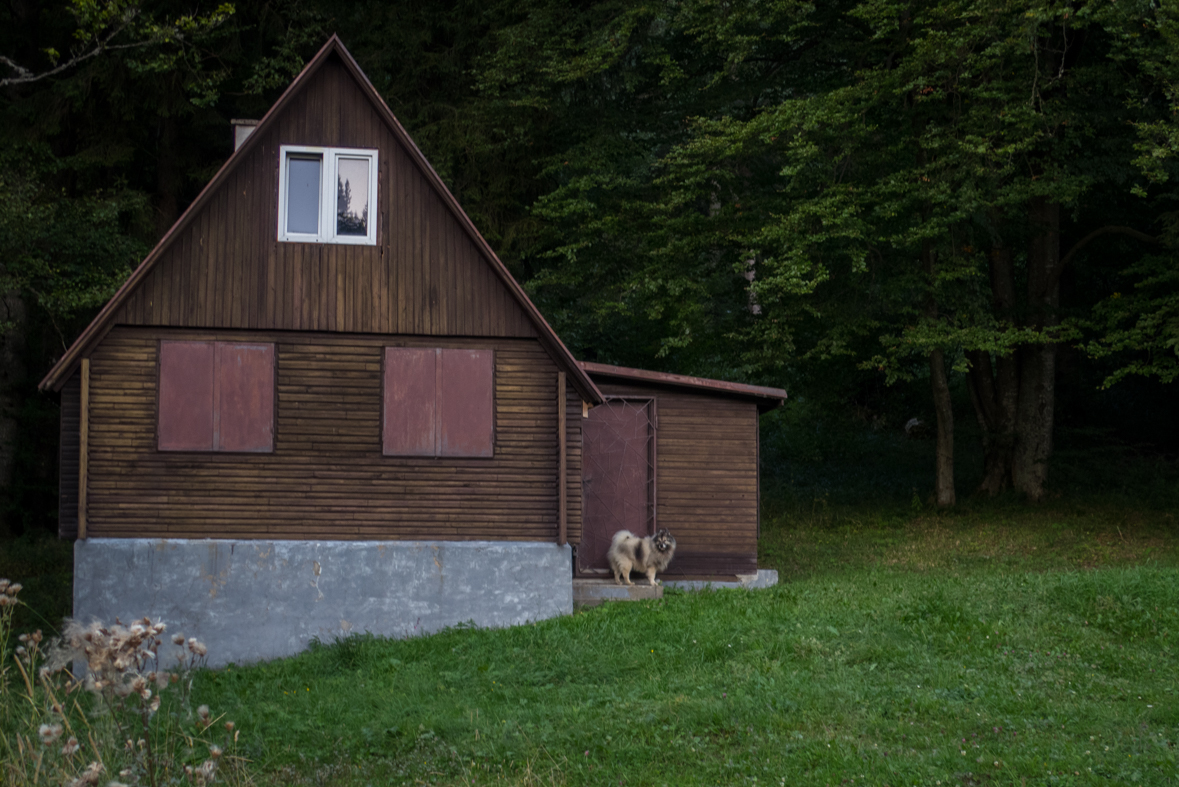 Z Korytnice na Hiadeľské sedlo (Nízke Tatry)