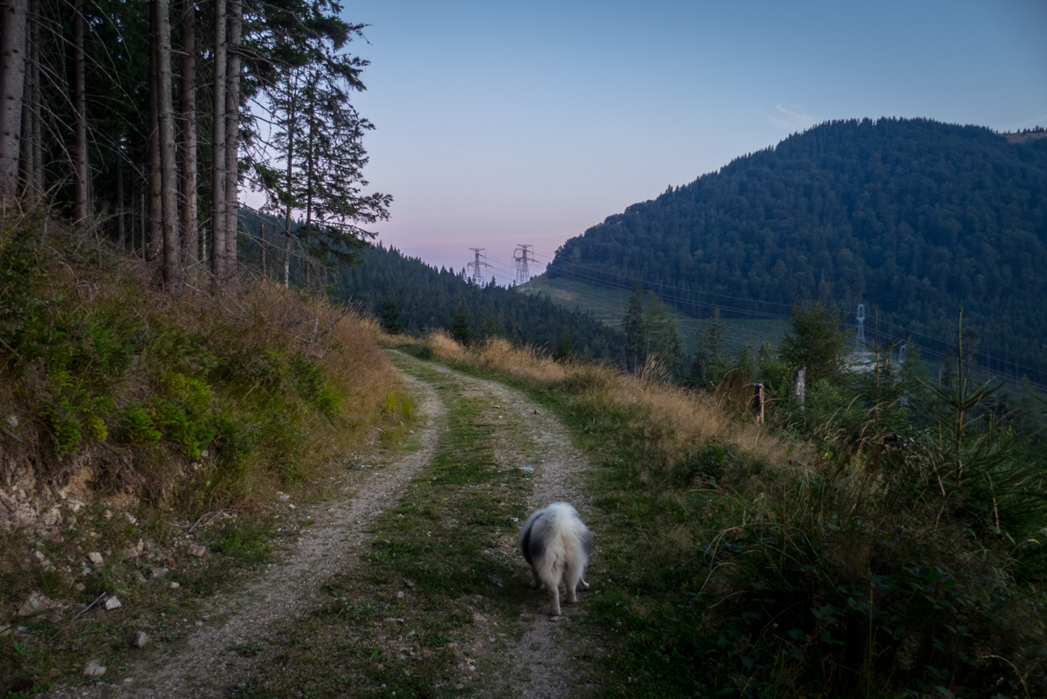 Z Korytnice na Hiadeľské sedlo (Nízke Tatry)