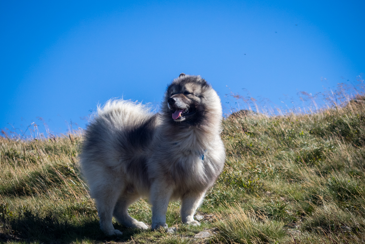 Z útulne Ďurková na chatu M. R.Štefánika (Nízke Tatry)