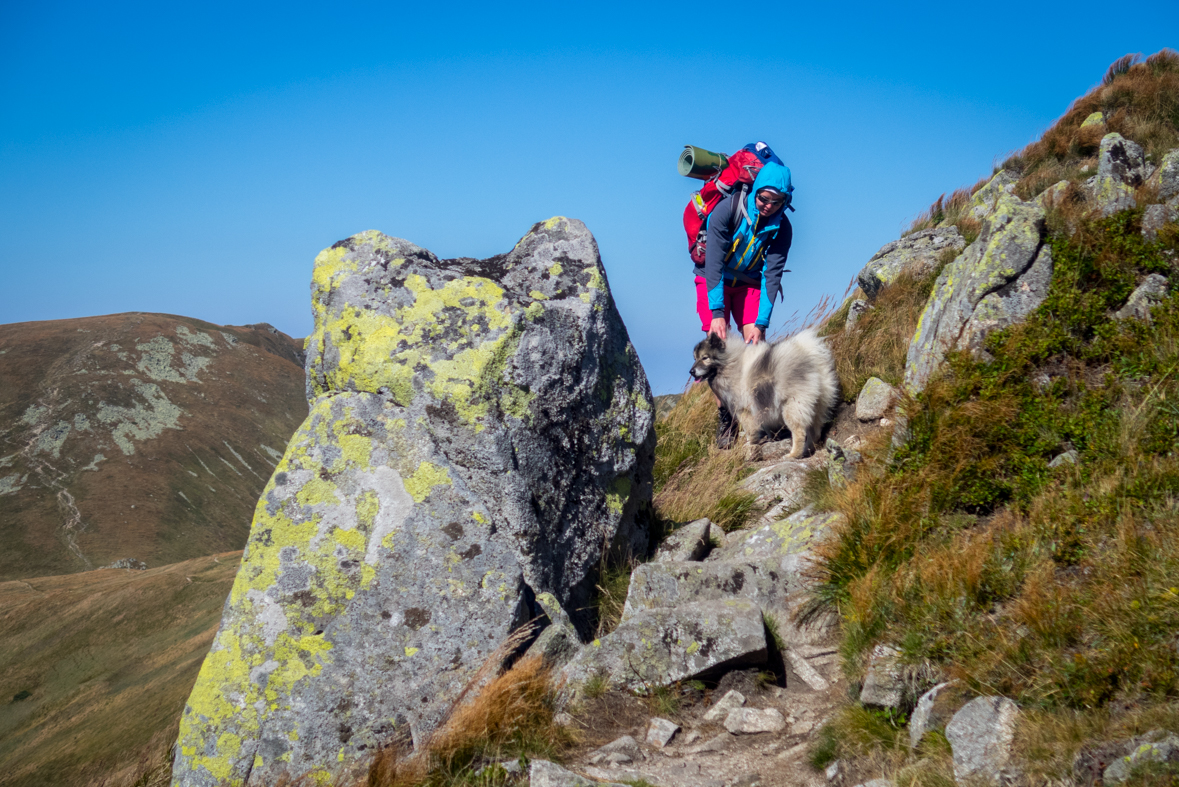 Z útulne Ďurková na chatu M. R.Štefánika (Nízke Tatry)