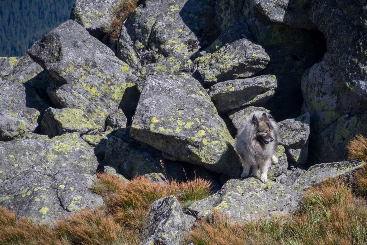 Z útulne Ďurková na chatu M. R.Štefánika (Nízke Tatry)