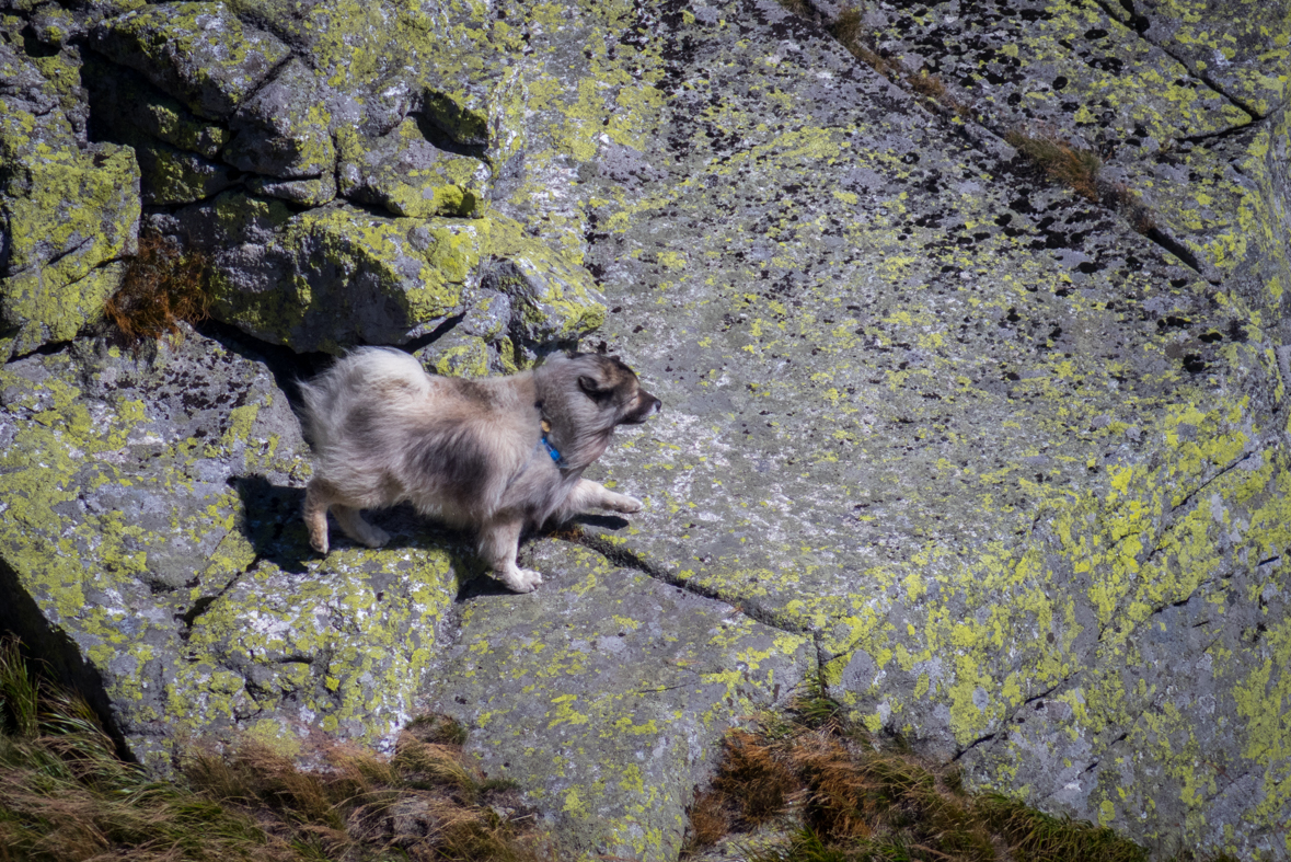 Z útulne Ďurková na chatu M. R.Štefánika (Nízke Tatry)