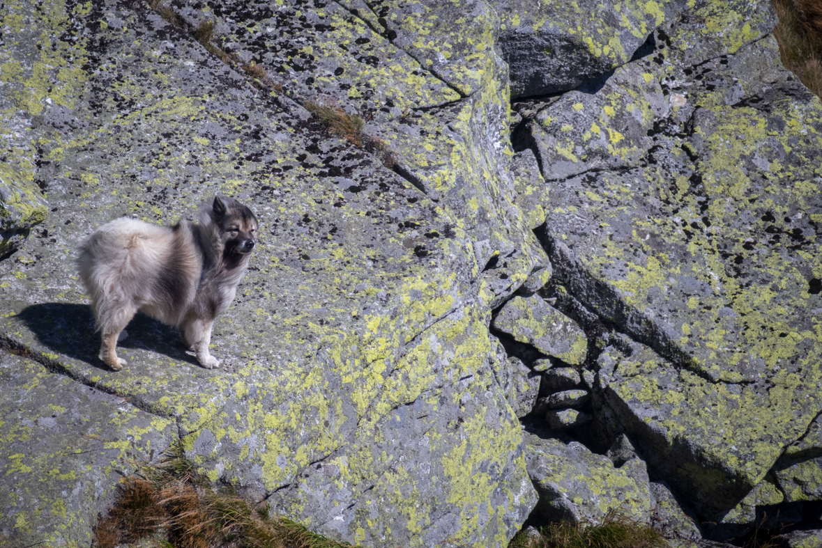 Z útulne Ďurková na chatu M. R.Štefánika (Nízke Tatry)