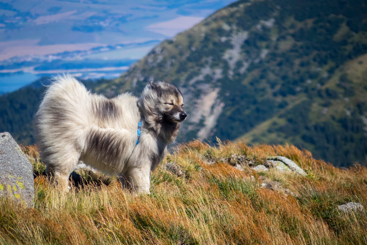 Z útulne Ďurková na chatu M. R.Štefánika (Nízke Tatry)