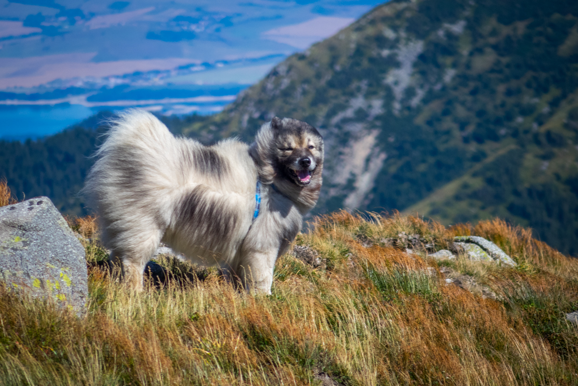 Z útulne Ďurková na chatu M. R.Štefánika (Nízke Tatry)