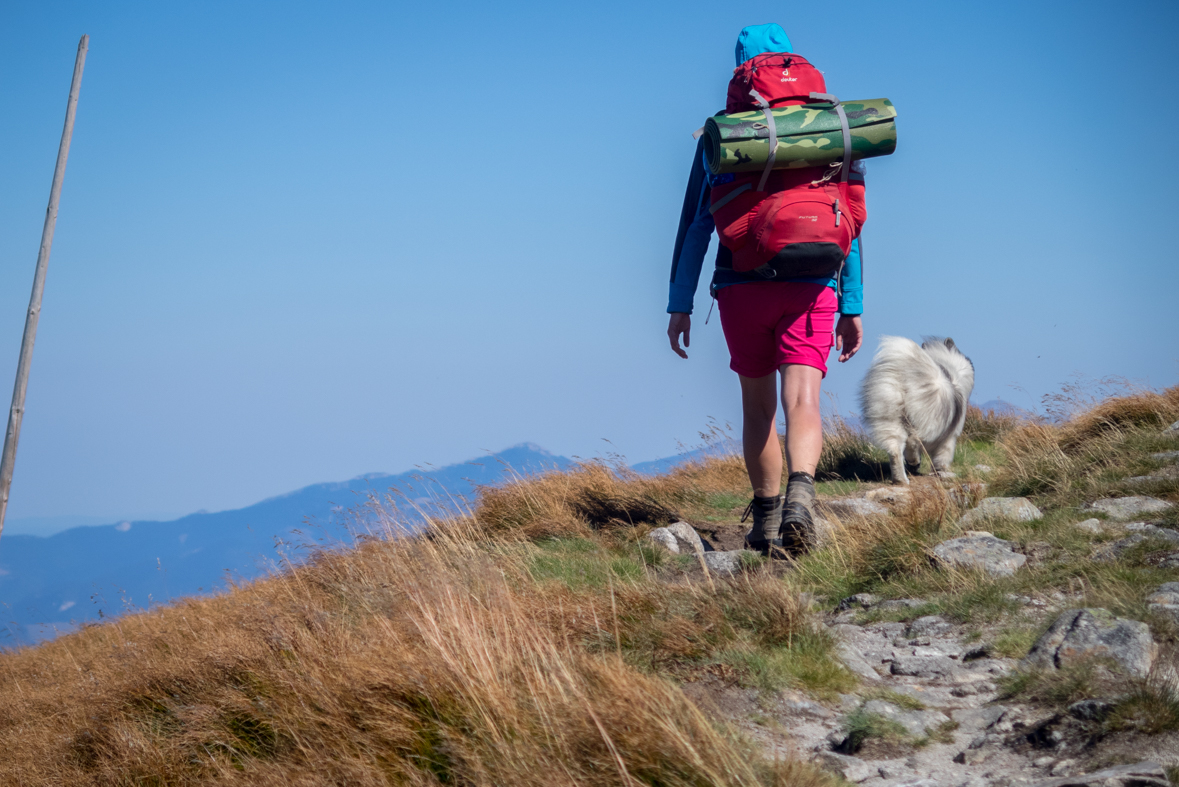 Z útulne Ďurková na chatu M. R.Štefánika (Nízke Tatry)