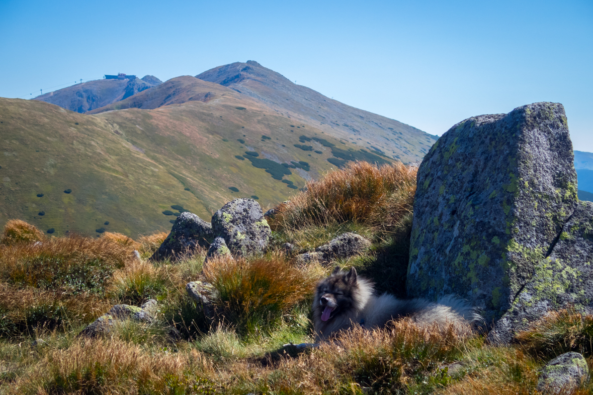 Z útulne Ďurková na chatu M. R.Štefánika (Nízke Tatry)