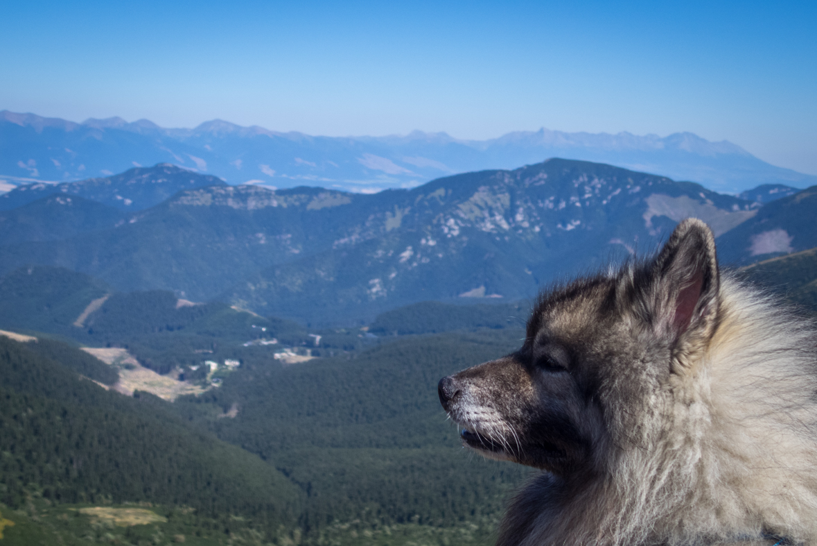 Z útulne Ďurková na chatu M. R.Štefánika (Nízke Tatry)