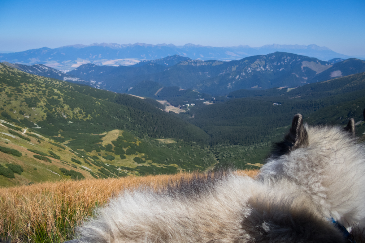 Z útulne Ďurková na chatu M. R.Štefánika (Nízke Tatry)