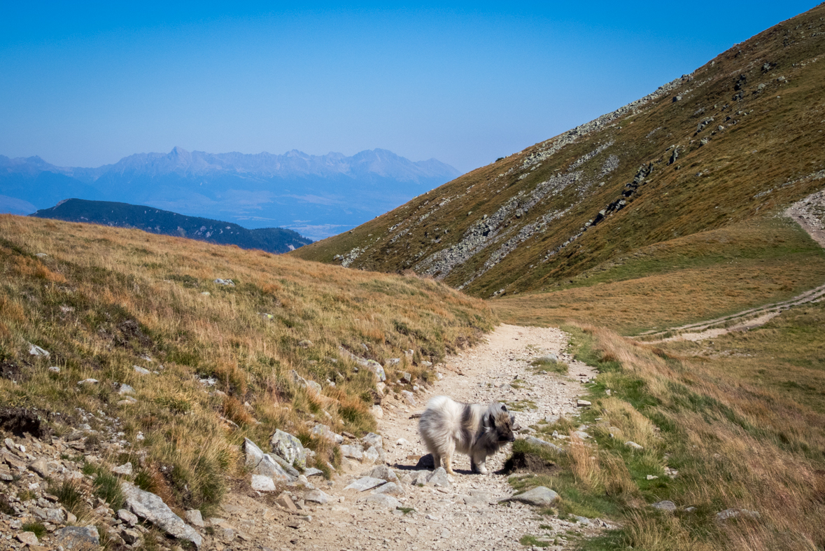 Z útulne Ďurková na chatu M. R.Štefánika (Nízke Tatry)