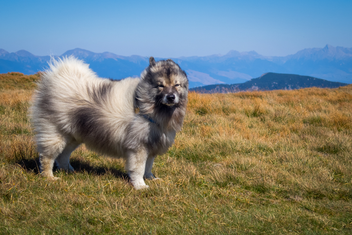 Z útulne Ďurková na chatu M. R.Štefánika (Nízke Tatry)