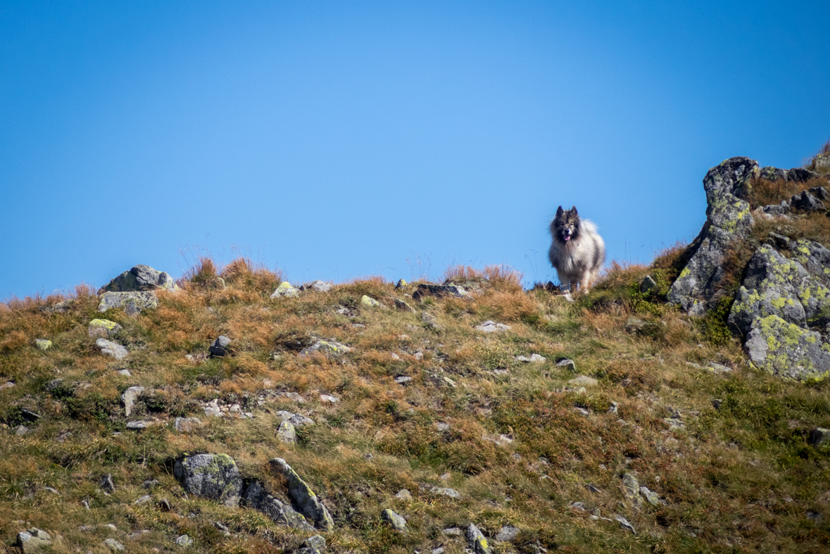 Z útulne Ďurková na chatu M. R.Štefánika (Nízke Tatry)