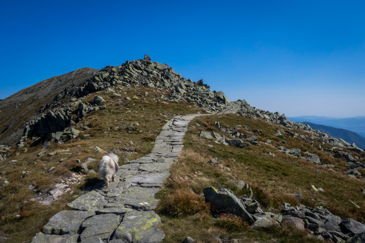 Z útulne Ďurková na chatu M. R.Štefánika (Nízke Tatry)