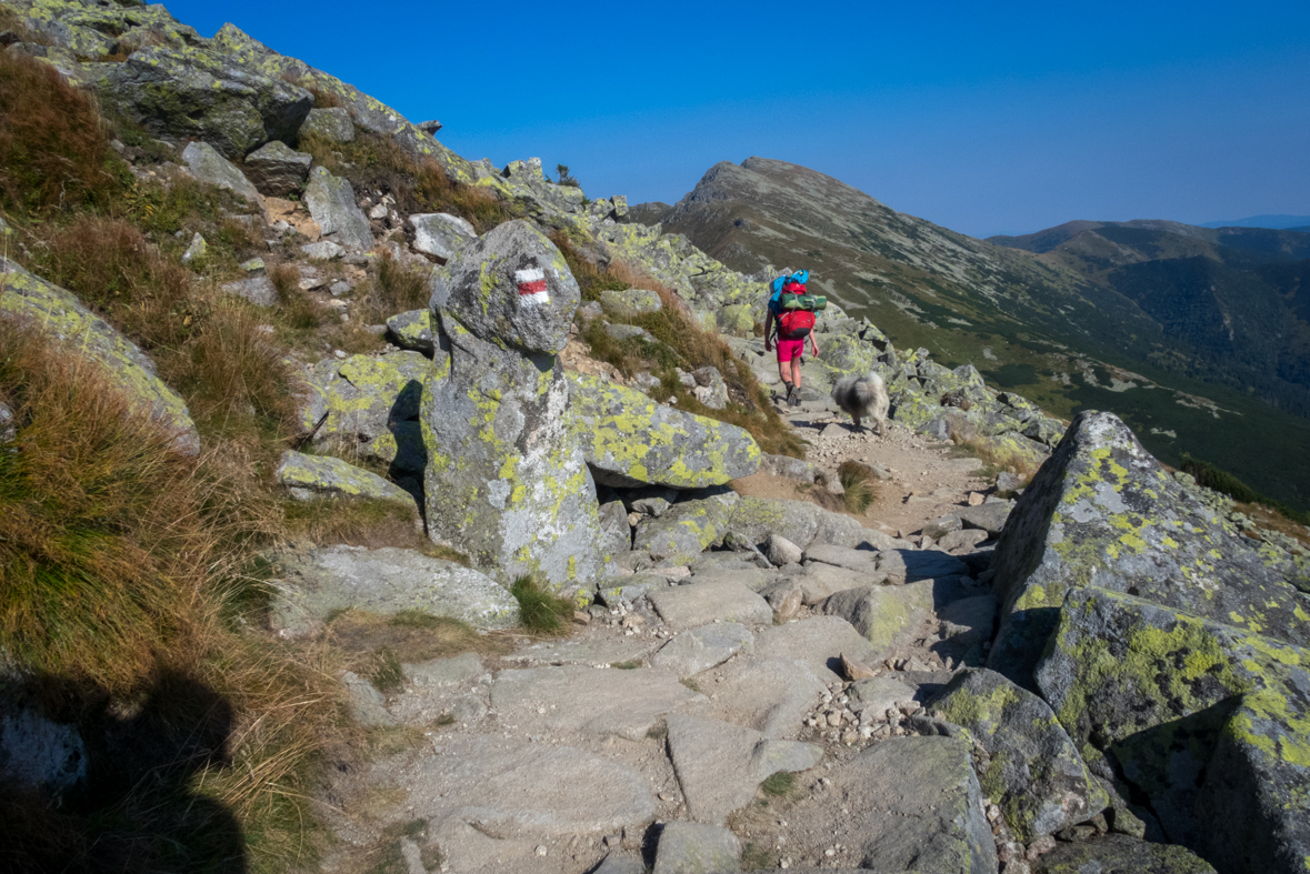 Z útulne Ďurková na chatu M. R.Štefánika (Nízke Tatry)