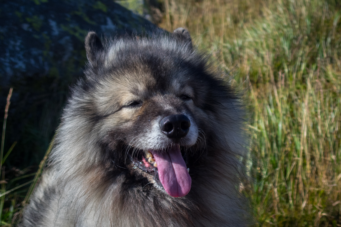 Z útulne Ďurková na chatu M. R.Štefánika (Nízke Tatry)