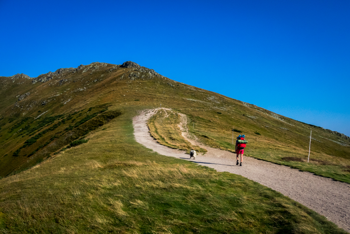 Z útulne Ďurková na chatu M. R.Štefánika (Nízke Tatry)