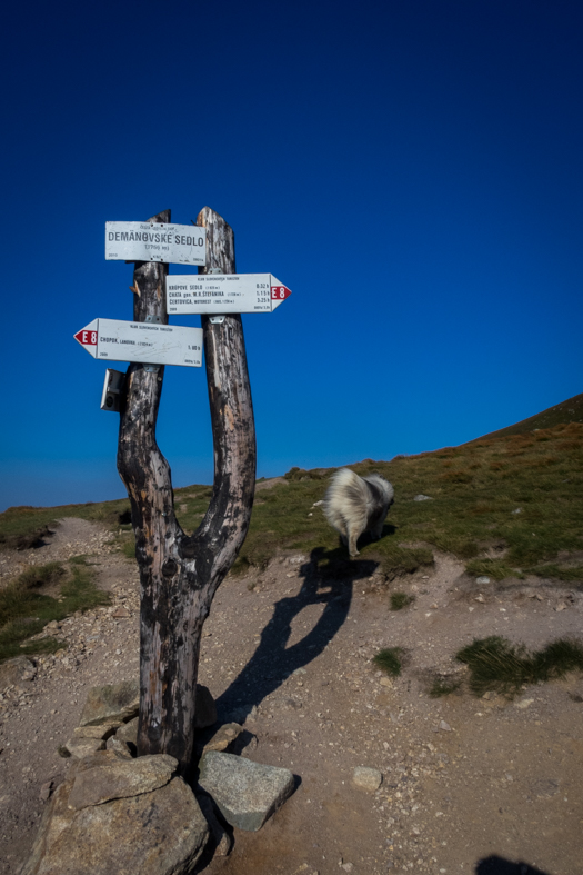 Z útulne Ďurková na chatu M. R.Štefánika (Nízke Tatry)