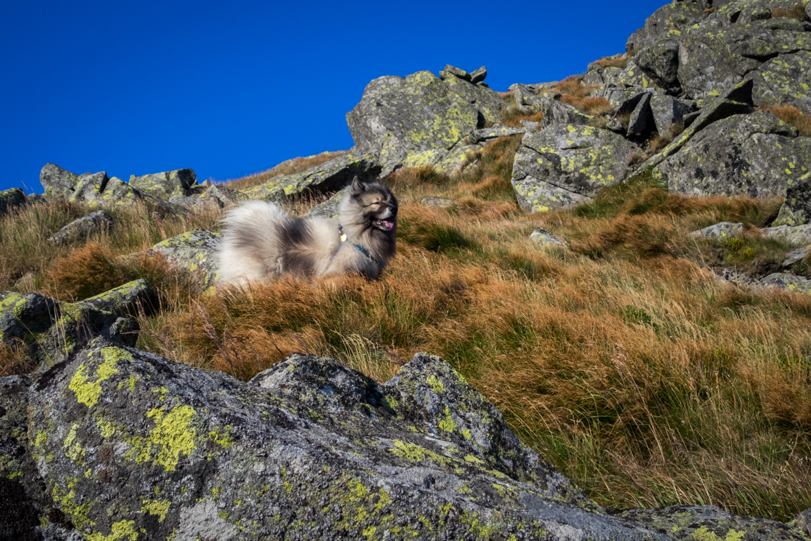 Z útulne Ďurková na chatu M. R.Štefánika (Nízke Tatry)