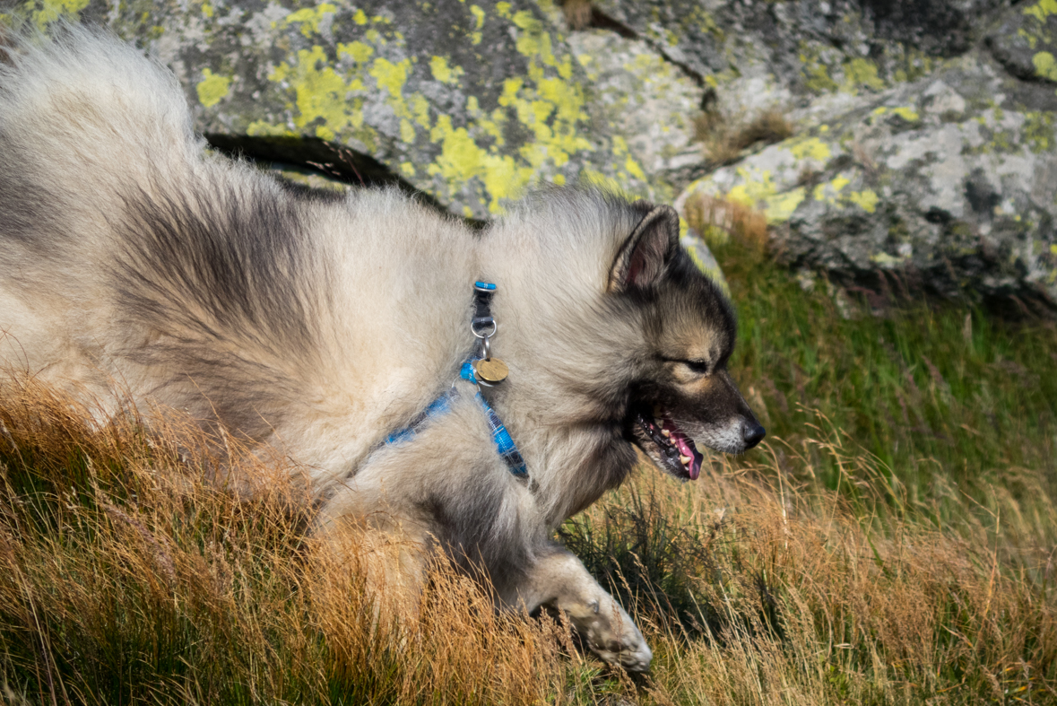 Z útulne Ďurková na chatu M. R.Štefánika (Nízke Tatry)