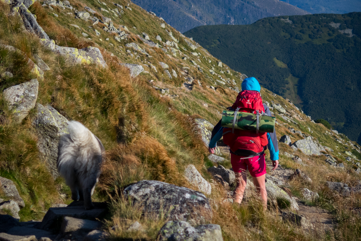 Z útulne Ďurková na chatu M. R.Štefánika (Nízke Tatry)