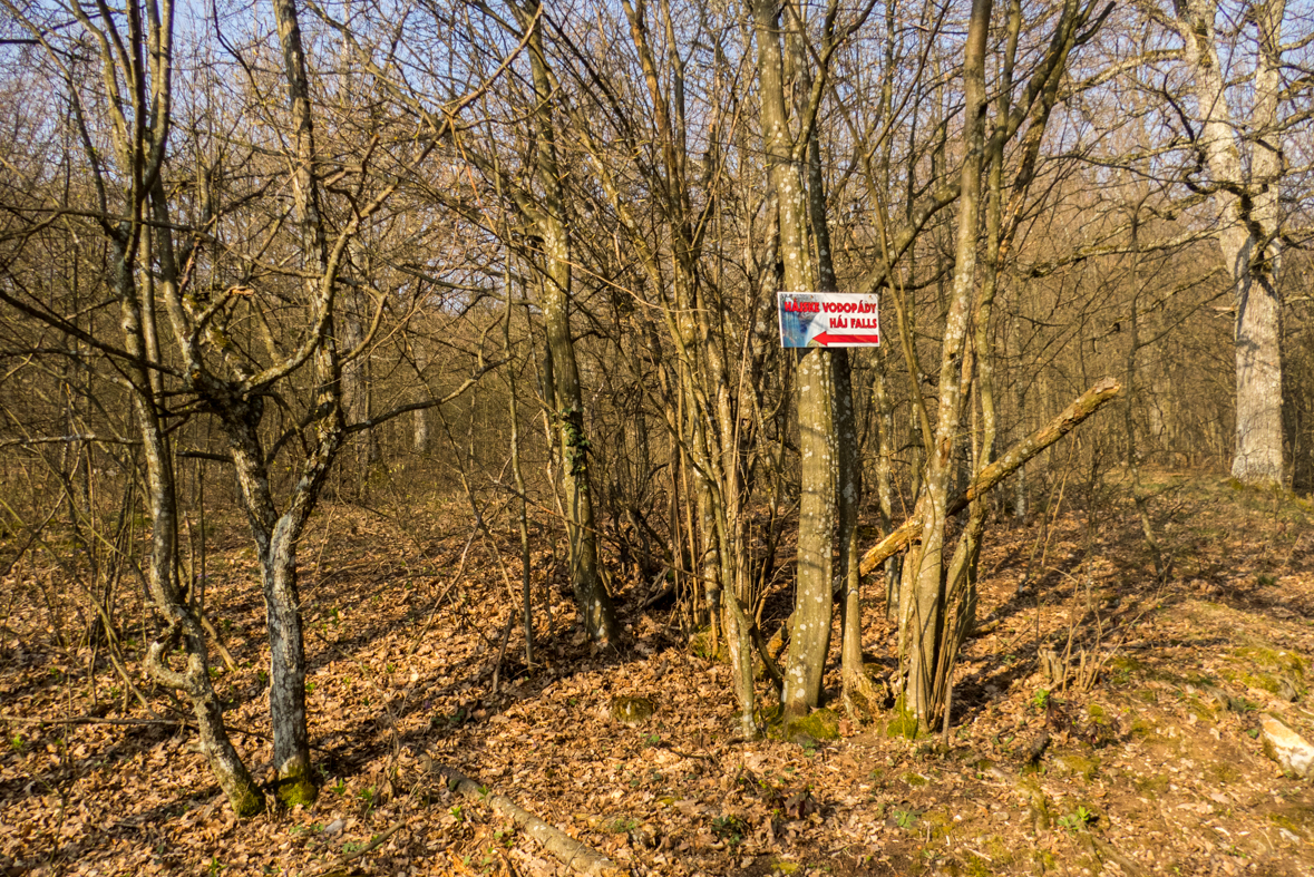 Zádielskou planinou (Slovenský kras)