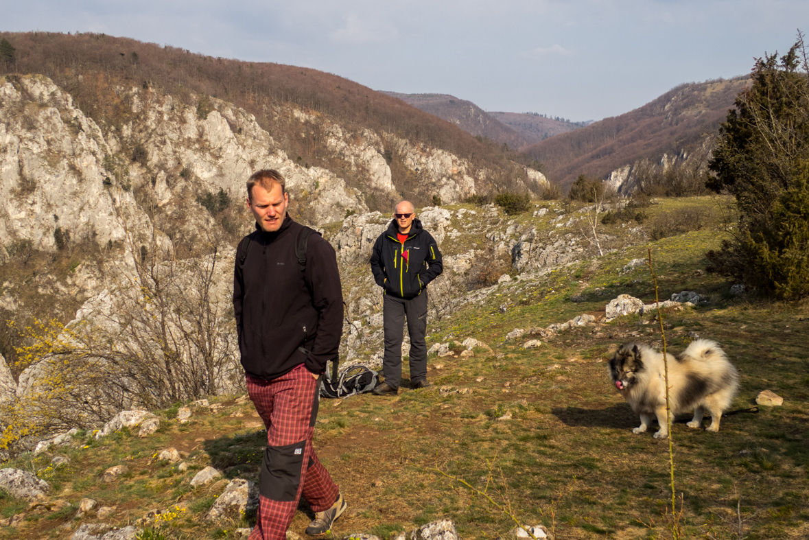 Zádielskou planinou (Slovenský kras)