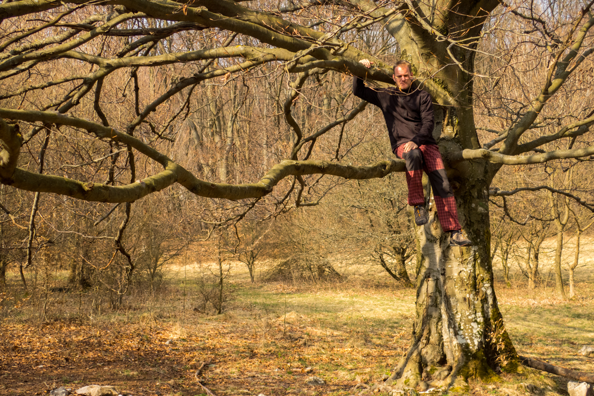 Zádielskou planinou (Slovenský kras)