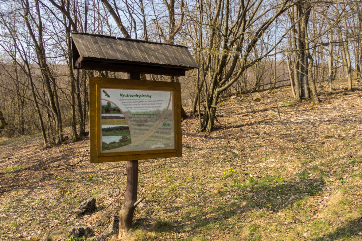 Zádielskou planinou (Slovenský kras)