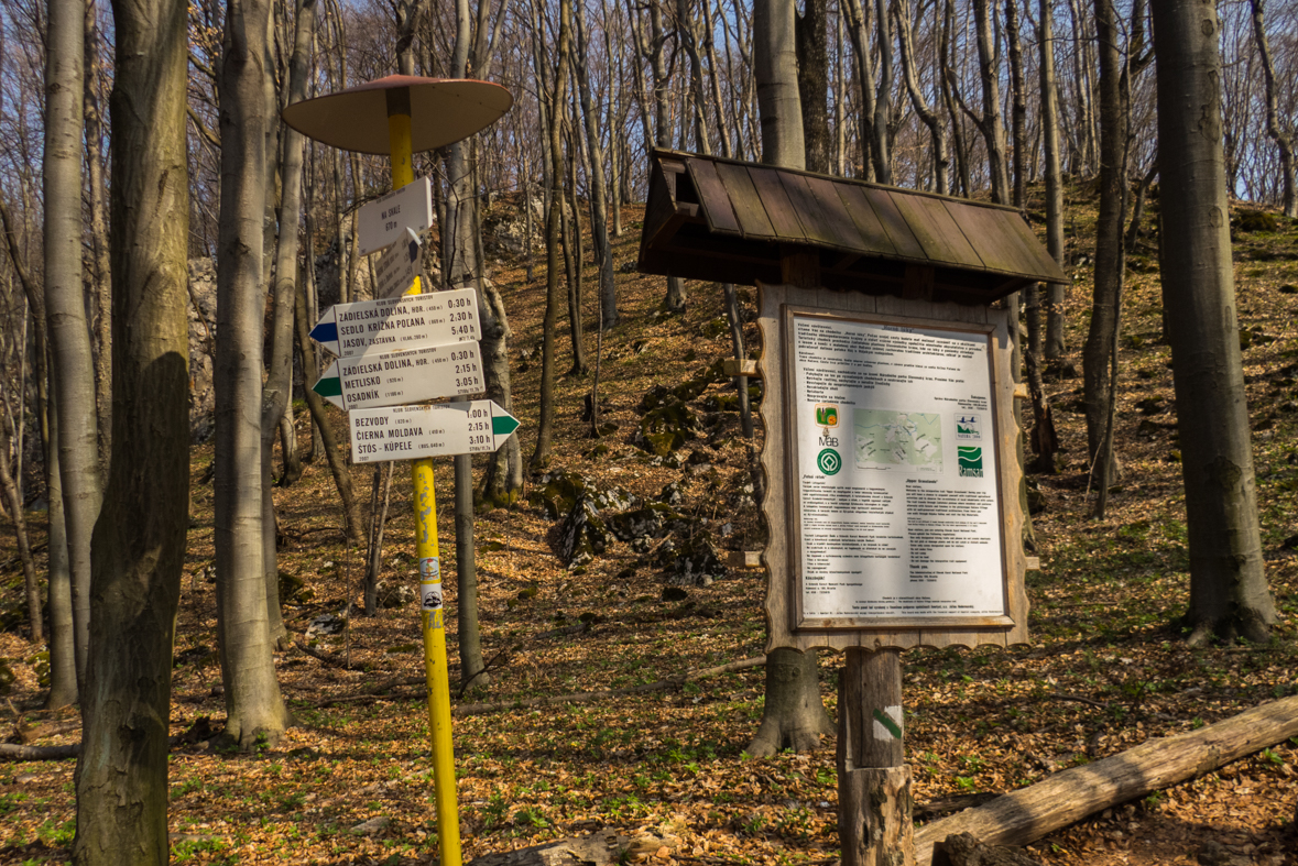 Zádielskou planinou (Slovenský kras)