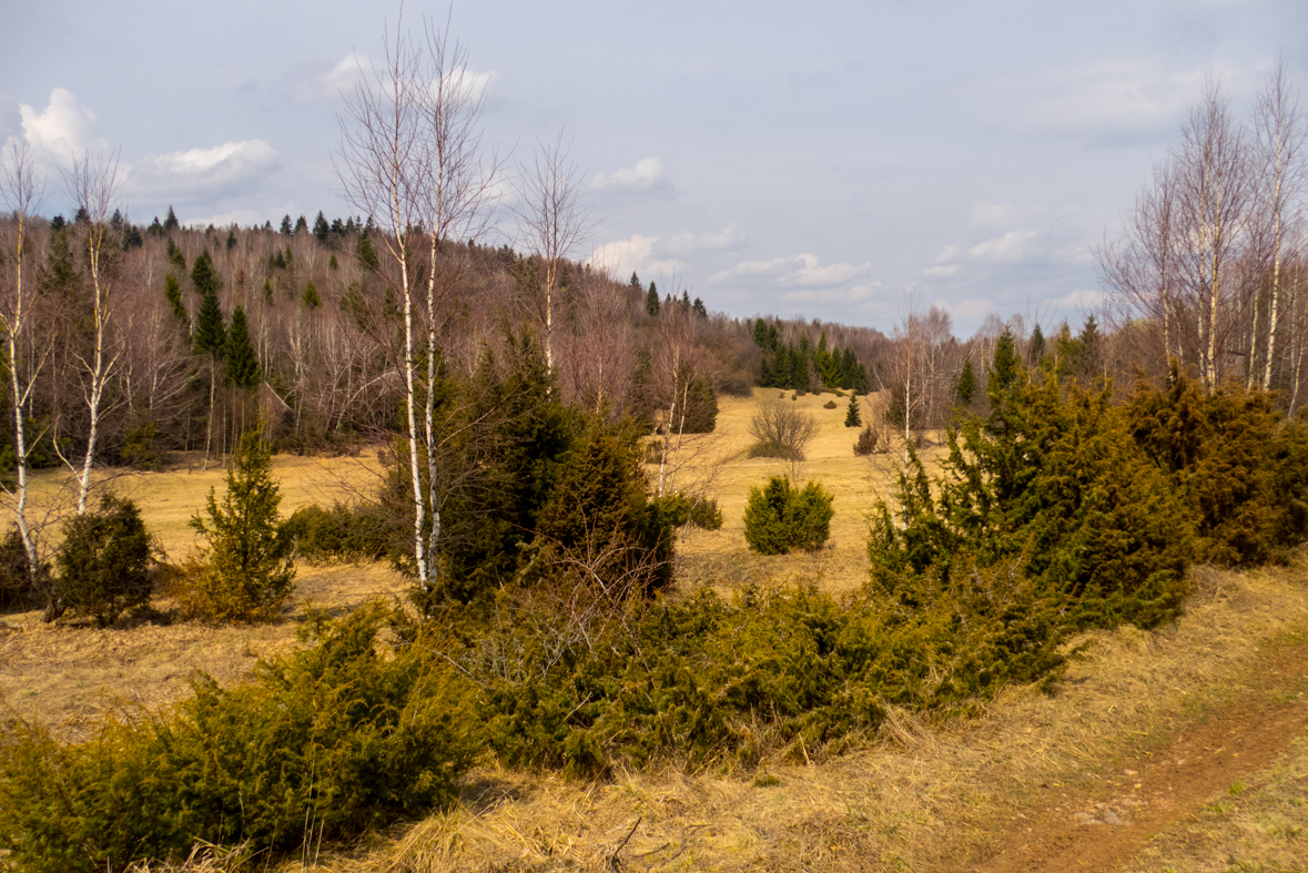 Zádielskou planinou (Slovenský kras)