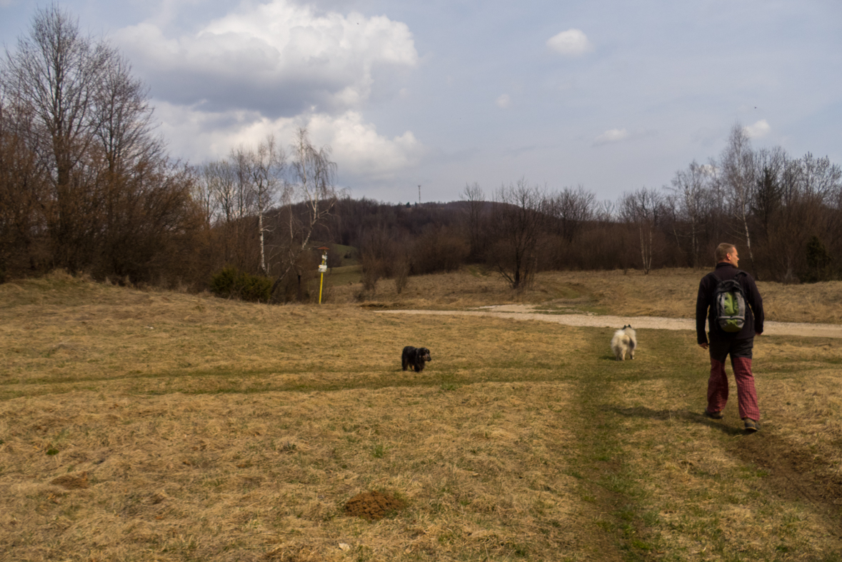 Zádielskou planinou (Slovenský kras)