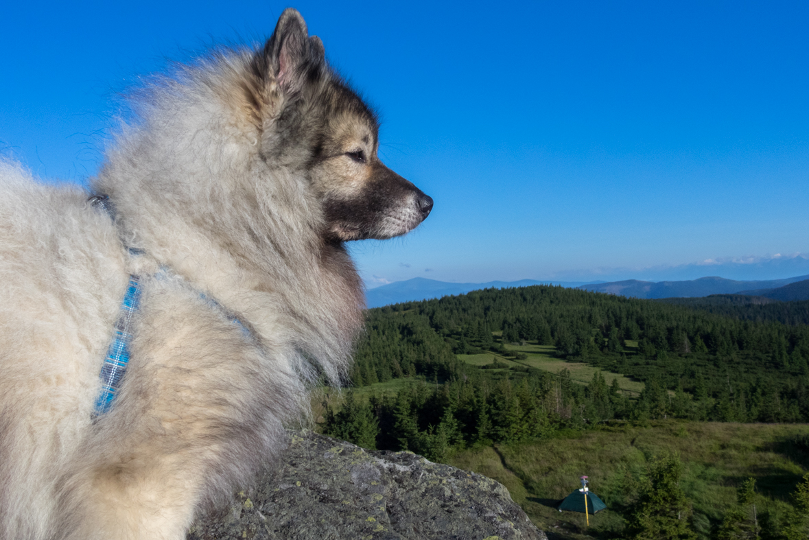 Zo Skaliska do Hnilca (Volovské vrchy)