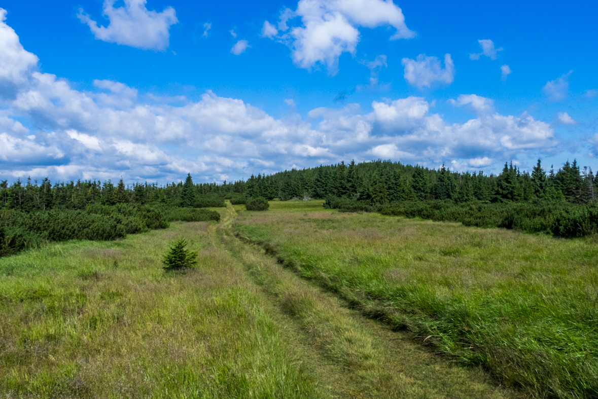 Zo Skaliska do Hnilca (Volovské vrchy)